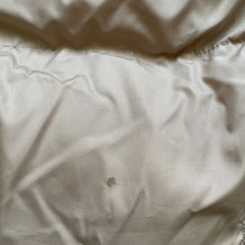 Montta Leke Ve Delik: Hızlı Değişim Ya Da İade Talebi