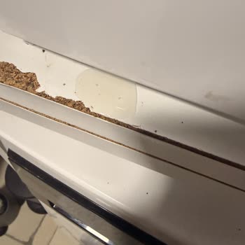 Vestel Kurutma Makinesi Su Kaçağı, Mobilya Zararları Ve Saygısız Servis