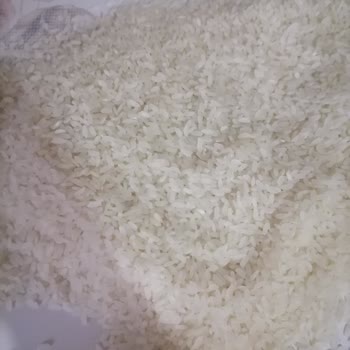 Yazar Marka 1 Kg Osmancık Pirinçte Beyaz Kurtlar Ve Siyah Böcekler Bulundu