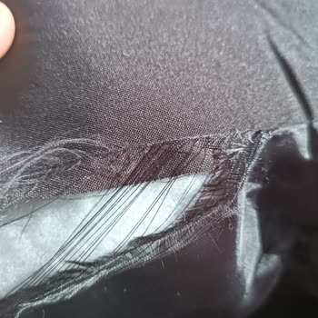 LCW Montu Kısa Sürede Yırtıldı, Kalite Sorunu