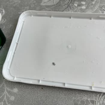 Labne Ürününde Alüminyum Parçası Ve Şirketin Cevapsız Tutumu