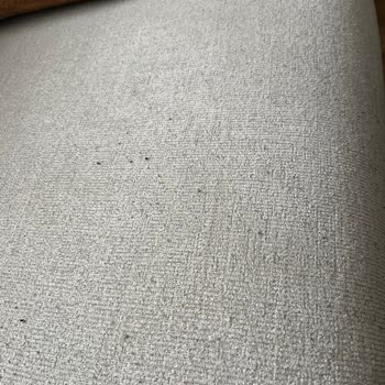 Garanti Süresi İçinde Koltuk Kumaşında Potlanma Ve Tüylenme, Ürün Değişimi Talebi