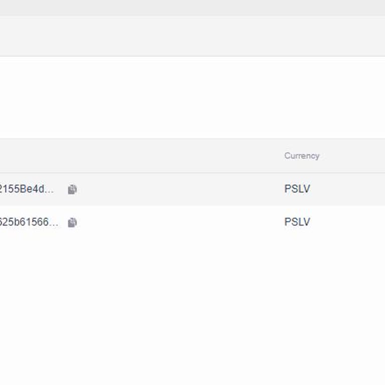 Ausstehende PSLV-Token-Auszahlung bei Coinsbit seit August 2024