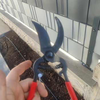 İzeltaş Budama Makası Kesim Sorunu Ve Mağaza Cevapsızlığı