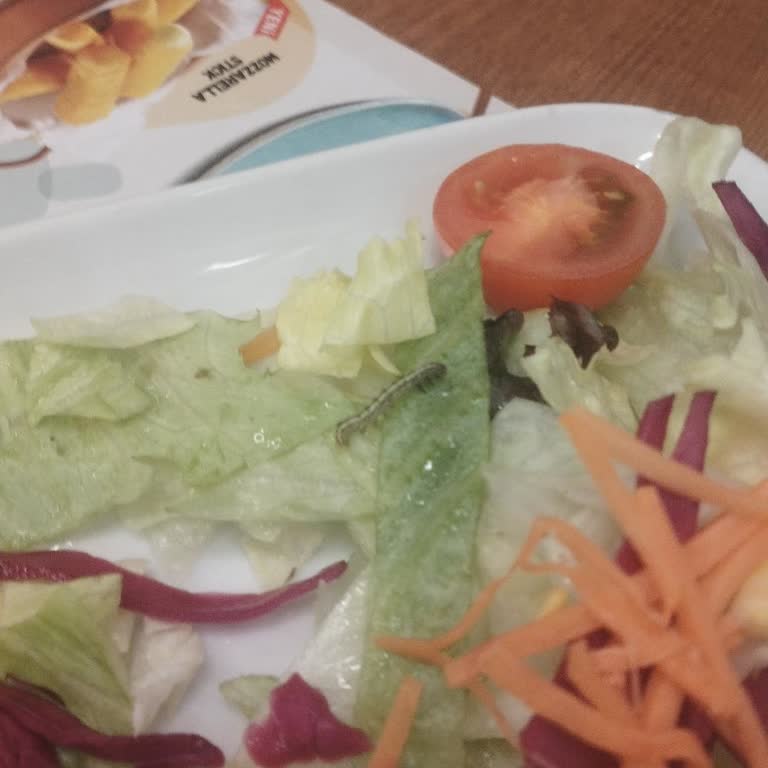 Böcekli Yemekte Hijyen İhlali Ve Ücret Talebi Şikayeti