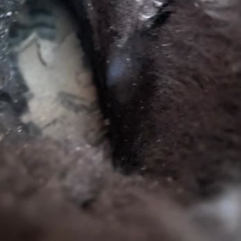 LCW Çocuk Botunda Hızlı Aşınma Ve Mağaza Servisi Yokluğu