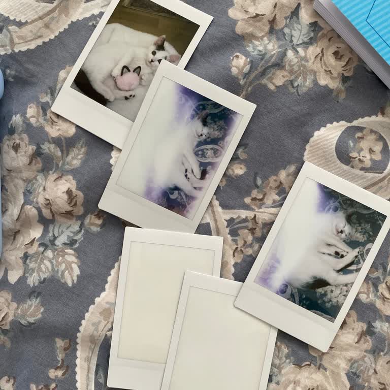 Instax Mini 12, las películas salen blancas y pierdo fotos