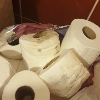 Maylo Tuvalet Kağıdında Küflü Ürün Şikayeti Ve Hijyen Riski