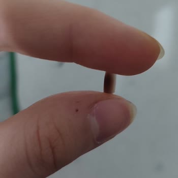 Knorr Kremalı Mantarlı Çorbanın İçinde Plastik Parça Bulundu