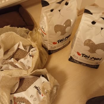 Patlamış Kedi Kum Paketleri: DHL Taşıma İhmali