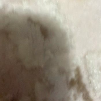 Ağar Halı Yıkama (Başakşehir) Sanki Sadece Islatılıp Geri Getirilmiş Gibiydi