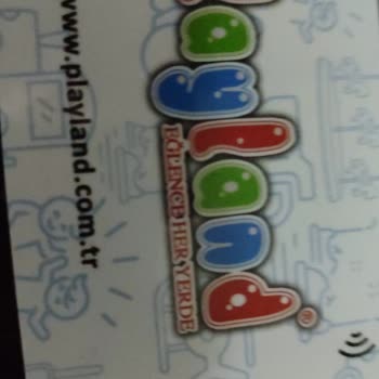 Playland Çocukların Gözetimsiz Bırakılması Ve Tehlikeli Kişinin Girişi