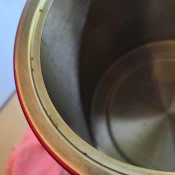 Paslanmaz Çelik Çaycıdaki Küflenme Ve İade Talebi