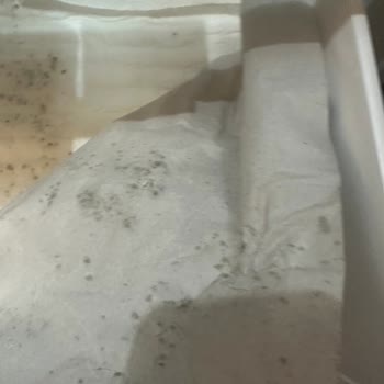 Sebze Ve Meyve Bölmesinde Su Birikmesi, Çürüme Ve Garanti Süresinde Servis Ücreti Talebi
