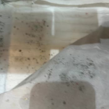 Sebze Ve Meyve Bölmesinde Su Birikmesi, Çürüme Ve Garanti Süresinde Servis Ücreti Talebi