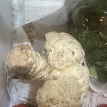 Sebze Ve Meyve Bölmesinde Su Birikmesi, Çürüme Ve Garanti Süresinde Servis Ücreti Talebi