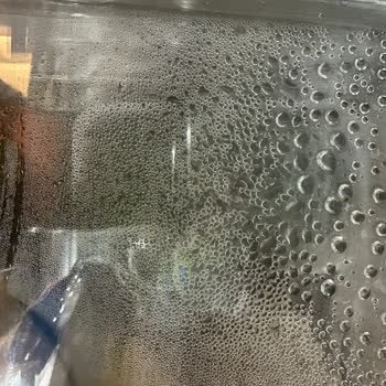 Sebze Ve Meyve Bölmesinde Su Birikmesi, Çürüme Ve Garanti Süresinde Servis Ücreti Talebi