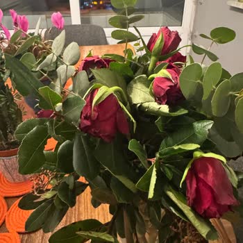 Şişli Sabuncakis Çiçek Teslim Aldığım Çiçek Beş Saatte Soldu Firma Su Eksikliği Söylüyor