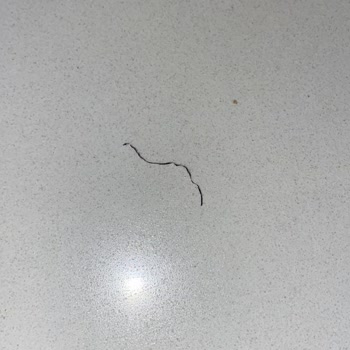 Yoğurtta Bulunan Tel Parçası Ciddi Sağlık Tehlikesi