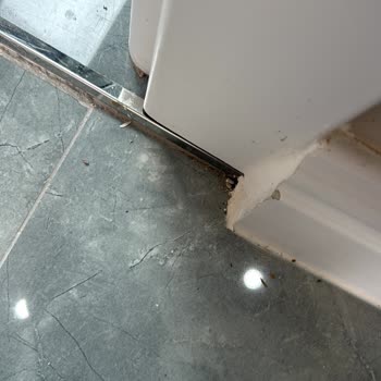 Prohome Temizlik Şirketi’nden Yetersiz İşçilik ve Cevapsız Mağduriyet