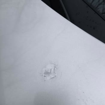 Ford Focus Kaputundaki Boya Atmalarının Garanti Kapsamında Onarımı Ve Değer Kaybı Telafisi