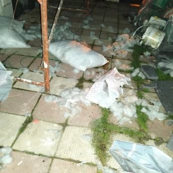 Kargo Görevlisinin Talimatı İhlal Etmesi Sonrası Yastıklarım Kullanılamaz Hale Geldi