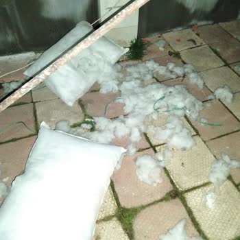 Kargo Görevlisinin Talimatı İhlal Etmesi Sonrası Yastıklarım Kullanılamaz Hale Geldi