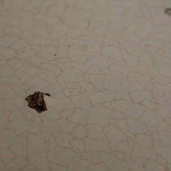 Montaj Hataları Ve Servis Yönlendirme Sorunlarıyla Yaşanan Güvenlik Riski