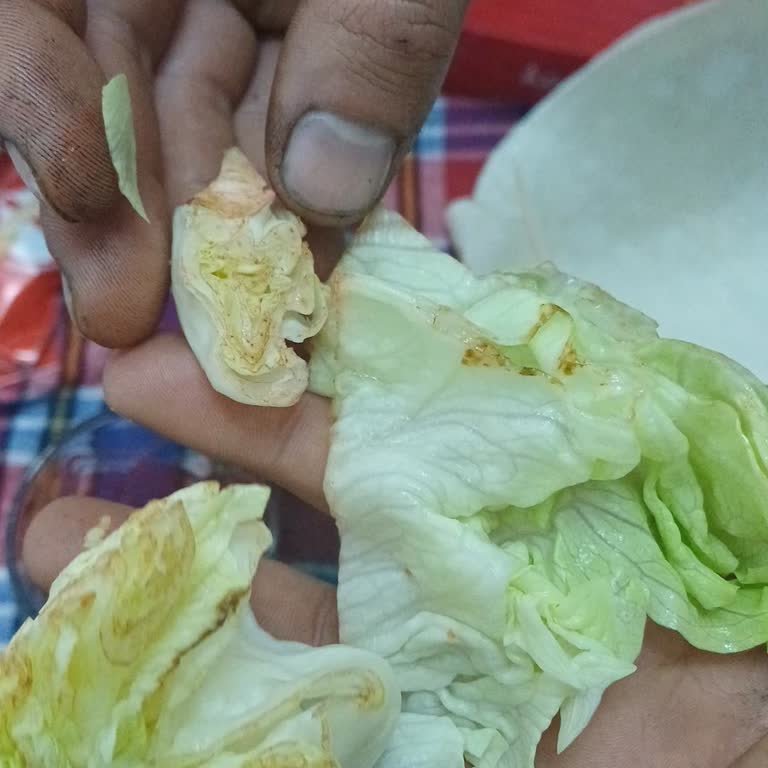 Marullarda Çürüme Ve Kuruma: Hijyen, Kalite Ve İade Talebi