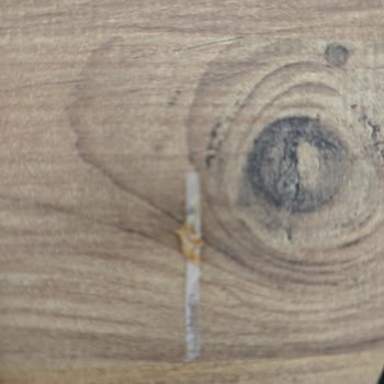 Kruvasanın İçinden Çıkan Plastik Parça Sağlık Endişesi Ve Güveni Sarsıyor