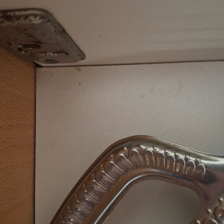 Kirli Evde Karınca Sorunu Ve Temizlik Ücretinin İadesi Talebi