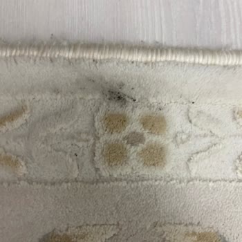 Toprak Halı Yıkama (Konya) Halılardaki Paslanmış Lekeler Ve Artan Zararlar İçin İade