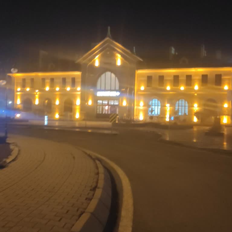 TCDD Planlı Sefer Gecikmesi Ve Bilgilendirme Yokluğu