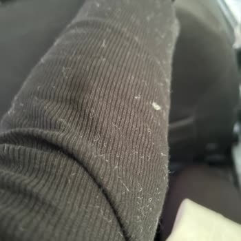 Suni Kürk Cekette Aşırı Tüylenme Ve Diğer Kıyafetlere Yapışma Sorunu