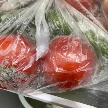 Bosch Buzdolabında Sürekli Donma Sorunu Ve Uzatılmış Garanti Kapsamında Ürün Değişimi Talebi