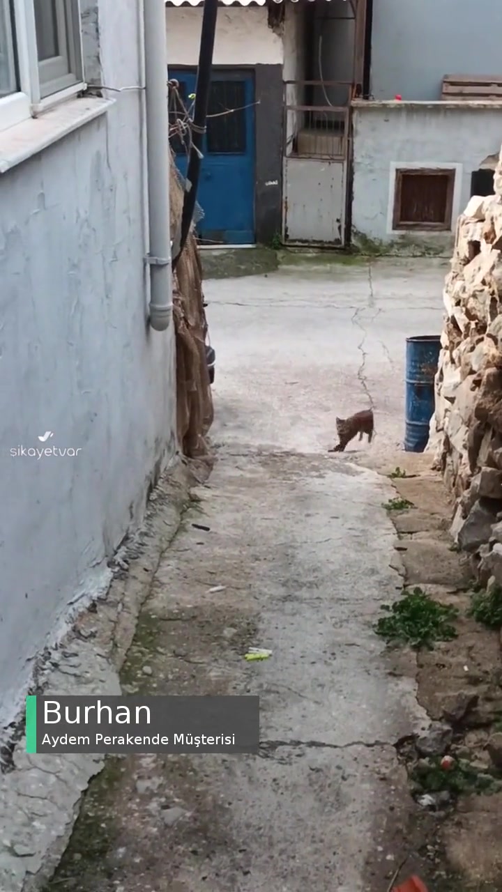 Aydem Perakende Elektrik Sayaçlarımız Okunmuyor videonun kapak resmi