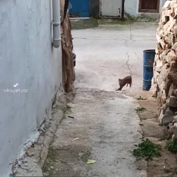 Aydem Perakende Elektrik Sayaçlarımız Okunmuyor