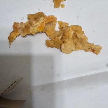 Cajun Corner'dan Bayat Ve Hijyenik Olmayan Yemek Nedeniyle Gıda Zehirlenmesi Ve Tam İade Talebi