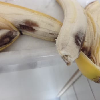 Muzlar Çürük Ve Müşteri Hizmetleri Ürün Değişimini Gerçekleştirmedi