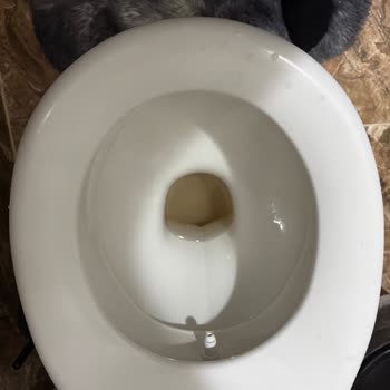 Kirli Musluk Suyu Ve Yüksek Faturalar İçin Acil Çözüm