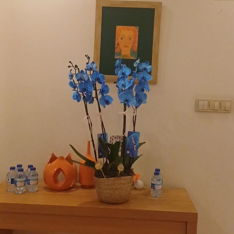 Görsellerle Uyuşmayan Özensiz Çiçekler İçin Ücret İadesi Talebi