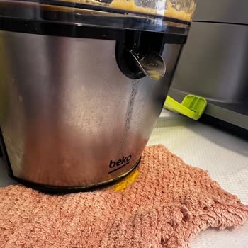 Katı Meyve Sıkacağı Sızıntı Ve Plastik Koku, 2.100 TL Servis Ücreti Şikayeti