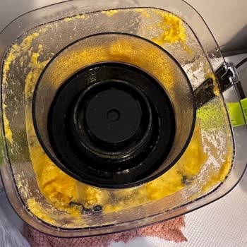 Katı Meyve Sıkacağı Sızıntı Ve Plastik Koku, 2.100 TL Servis Ücreti Şikayeti