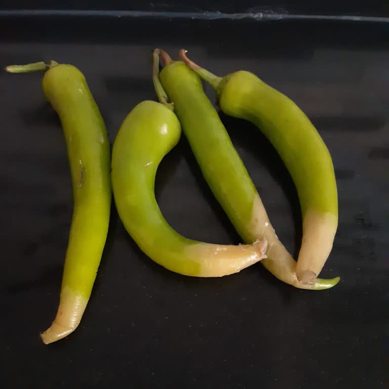 Vestel Buzdolabında Sebzelik Bölümü Meyve Ve Sebzeleri Çabuk Bozuyor