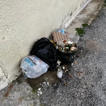 Hisarbaşı Mahallesinde Çöp Toplama Sıklığı Yetersiz