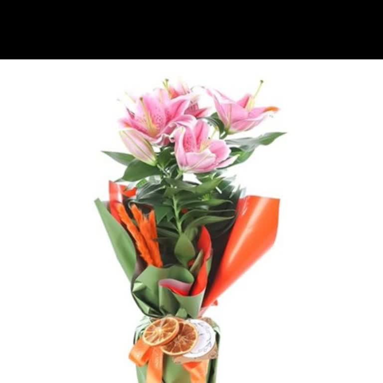 Taze Çiçek   Görseldeki Çiçeğe Uymayan Tomurcuk Gönderimi Ve Yetersiz Müşteri Hizmeti