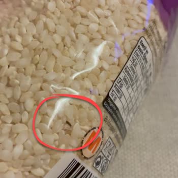 Migros Pendik’te Karacadağ Pirincinde Paketi Açılmadan Böcek Görüldü