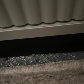 Beko Powerclean Süpürge Toz Ve Cam Parçalarını Geri Bırakıyor, Dört Kez Servise Gönderildi