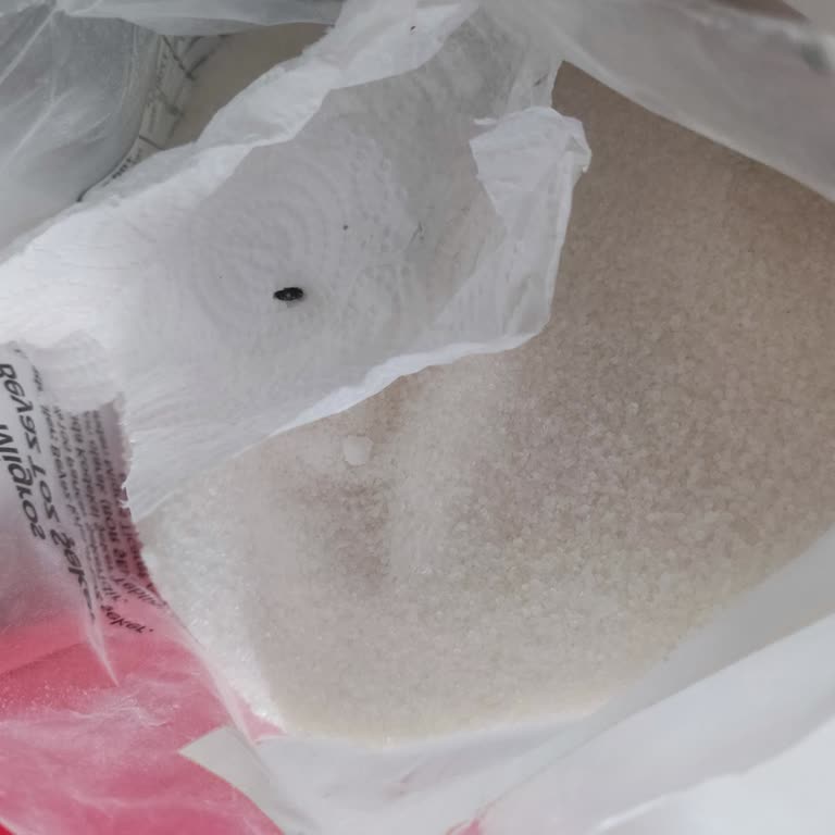 Migros Toz Şekerinde Kapalı Pakette Fare Dışkısı Tespit Edildi