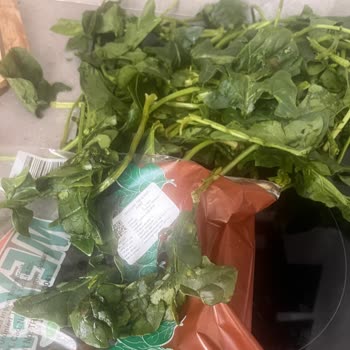 Migros Hemen'den Gelen Çürük Ispanak Paketi İçin İade Talebi